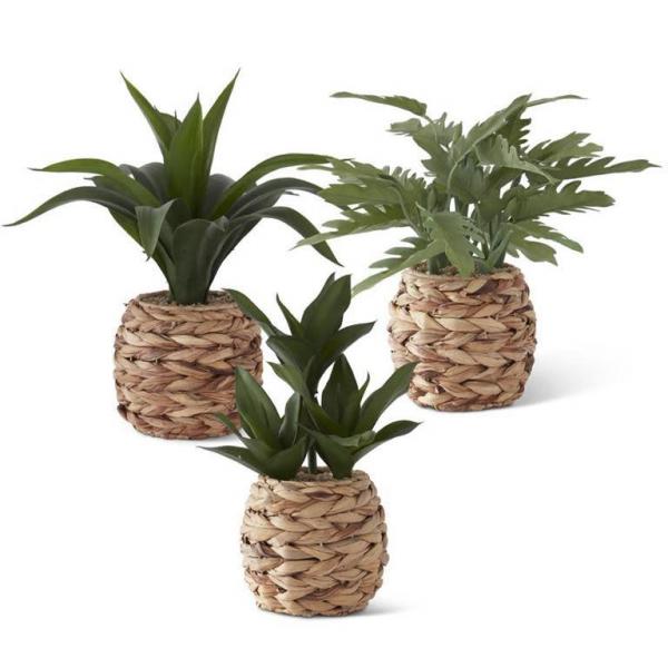 Foliage in woven basket
