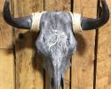 This steer skull is an original Artwork by Tanis Boatright. This steer skull has been stained to get the coloring. The horse head has been hand engraved into the skull. It comes with a Certificate of Authenticity signed by the artist.